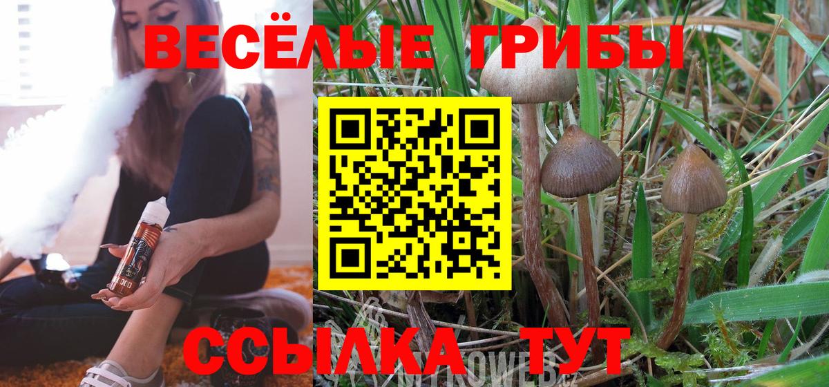 Псилоцибиновые грибы MAGIC MUSHROOMS Новокуйбышевск