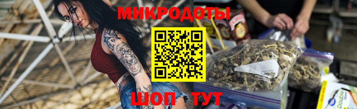 Галлюциногенные грибы MAGIC MUSHROOMS  Вход с VPN  цена наркотик  Новокуйбышевск  Псилоцибиновые грибы GOLDEN TEACHER 